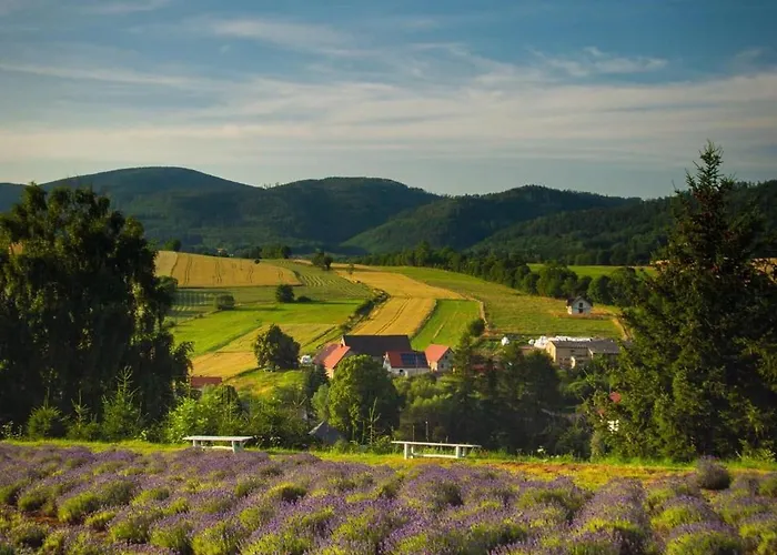 Lejlighed Sowasmart Z Sauna